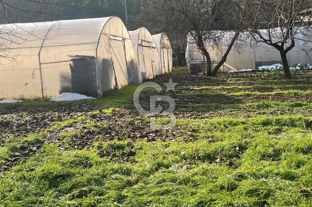 Karabük öğlebelin de satılık arsa 