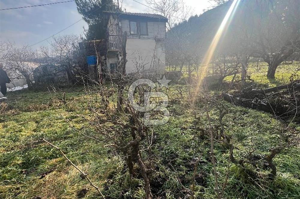 Karabük öğlebelin de satılık arsa 