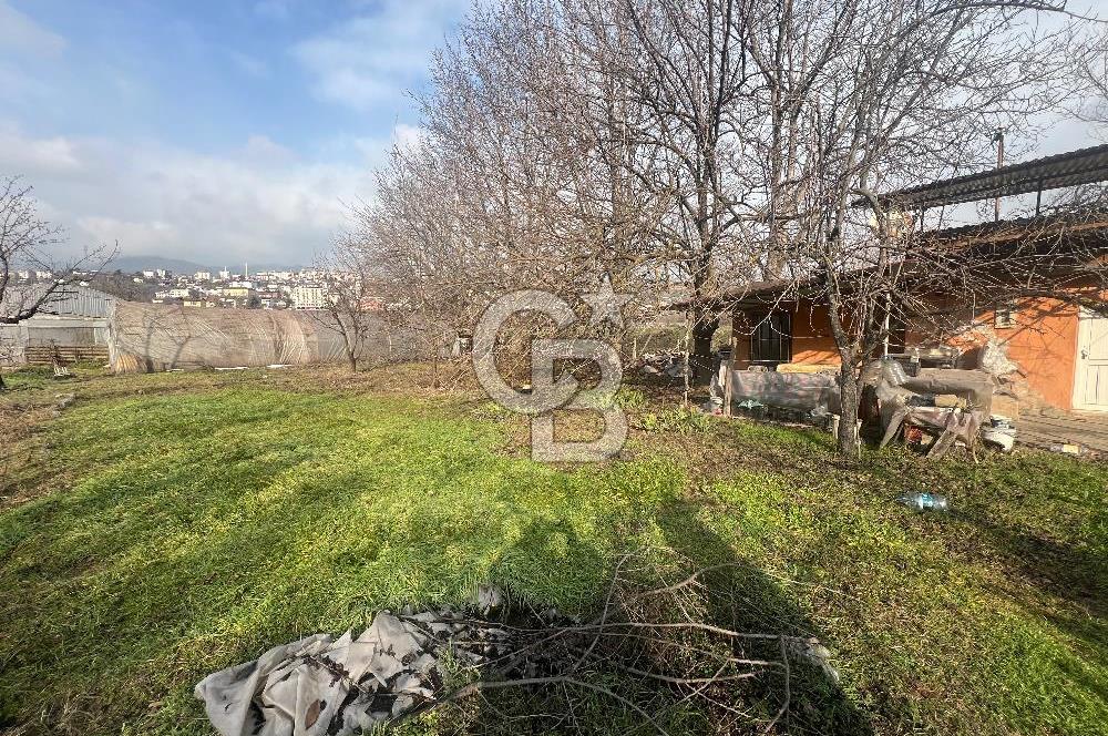 Karabük öğlebelin de satılık arsa 