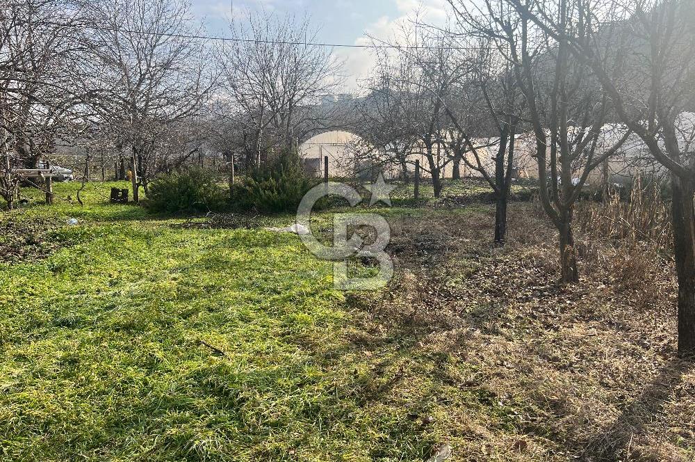 Karabük öğlebelin de satılık arsa 