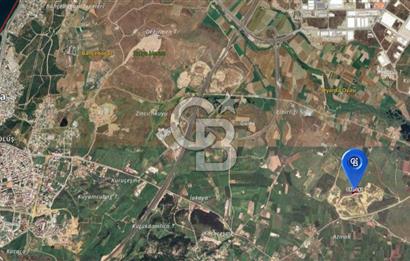 İzmir Aliağa Güzelhisarda 8.372m², Yolu Olan, Yatırımlık Tarla