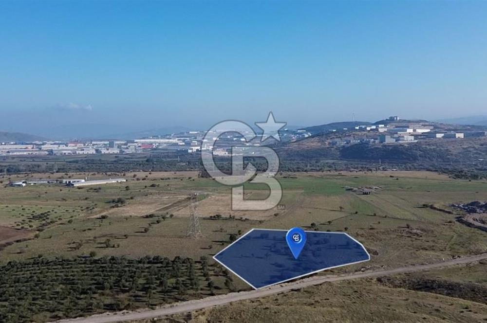 İzmir Aliağa Güzelhisarda 8.372m², Yolu Olan, Yatırımlık Tarla