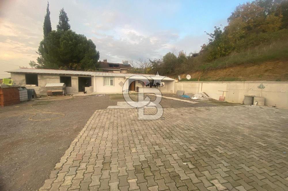 YALOVA ALTINOVA AYAZMA YOLA CEPHE 744 M2 ARSA ÜSTÜNDE BİNA