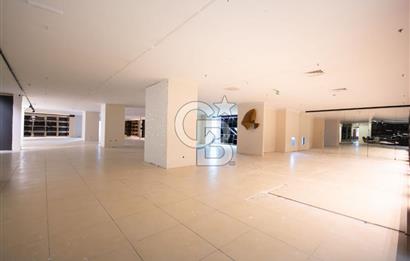 İstoç Öksüzoğlu Plaza'da 820 m² Satılık Plaza Katı