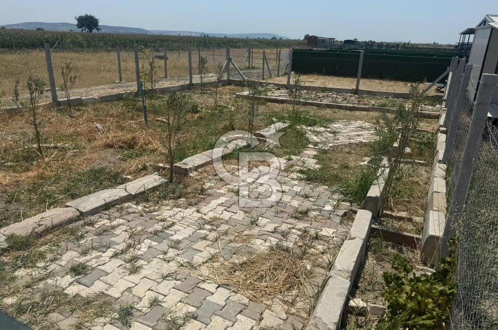 FOÇA GERENKÖY'DE SATILIK TARLA