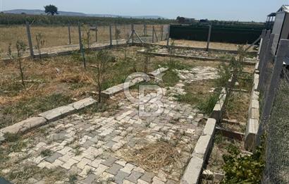 FOÇA GERENKÖY'DE SATILIK TARLA