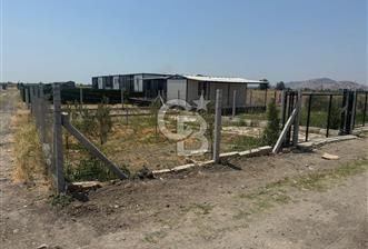 FOÇA GERENKÖY'DE SATILIK TARLA - 5 - 328577