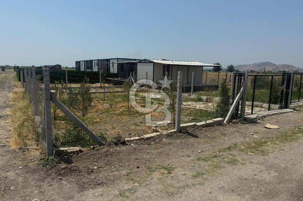 FOÇA GERENKÖY'DE SATILIK TARLA