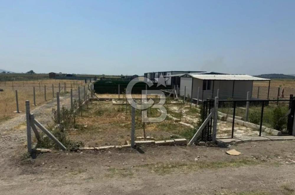 FOÇA GERENKÖY'DE SATILIK TARLA