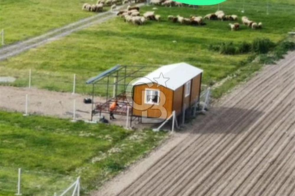 FOÇA GERENKÖY'DE SATILIK TARLA