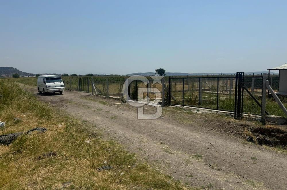 FOÇA GERENKÖY'DE SATILIK TARLA