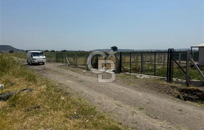 FOÇA GERENKÖY'DE SATILIK TARLA