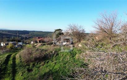 ÇANAKKALE LAPSEKİ BEYBAŞ KÖYÜ SATILIK 5203 M2 BAHÇE