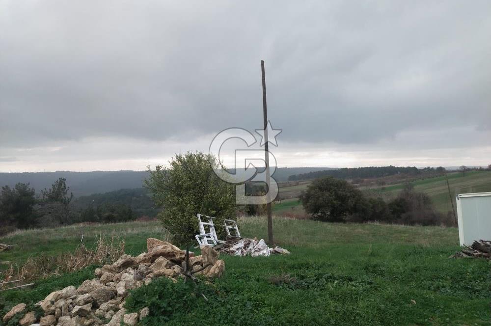ÇANAKKALE LAPSEKİ BEYBAŞ KÖYÜ SATILIK 5203 M2 BAHÇE