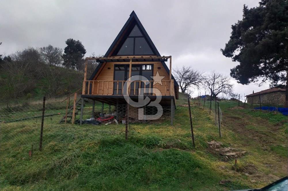 ÇANAKKALE LAPSEKİ BEYBAŞ KÖYÜ SATILIK 5203 M2 BAHÇE