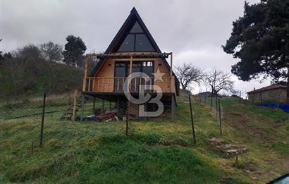 ÇANAKKALE LAPSEKİ BEYBAŞ KÖYÜ SATILIK 5203 M2 BAHÇE