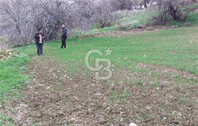 ÇANAKKALE LAPSEKİ BEYBAŞ KÖYÜ SATILIK 5203 M2 BAHÇE