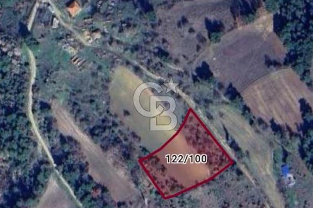 ÇANAKKALE LAPSEKİ BEYBAŞ KÖYÜ SATILIK 5203 M2 BAHÇE