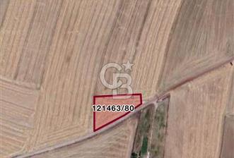 GÖLBAŞI İKİZCE SATILIK TARLA - 8 - 328565