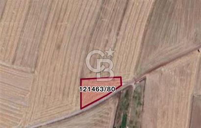 GÖLBAŞI İKİZCE SATILIK TARLA