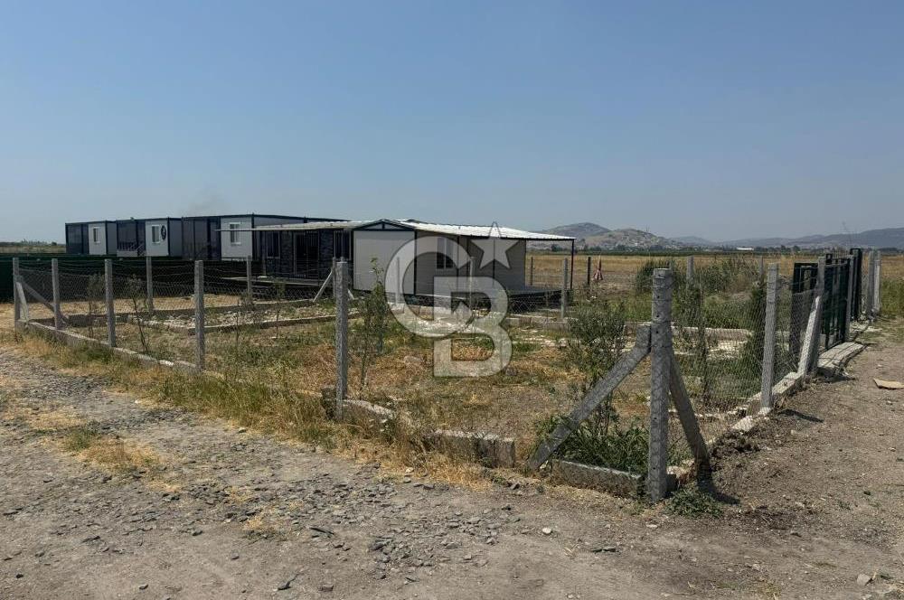 FOÇA GERENKÖY'DE SATILIK TARLA