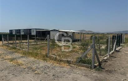 FOÇA GERENKÖY'DE SATILIK TARLA