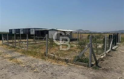 FOÇA GERENKÖY'DE SATILIK TARLA