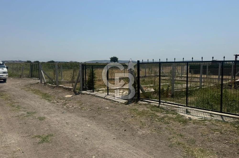 FOÇA GERENKÖY'DE SATILIK TARLA