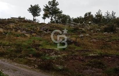 Bodrum Gökpınar’da Satılık Zeytinlik  1414 m²