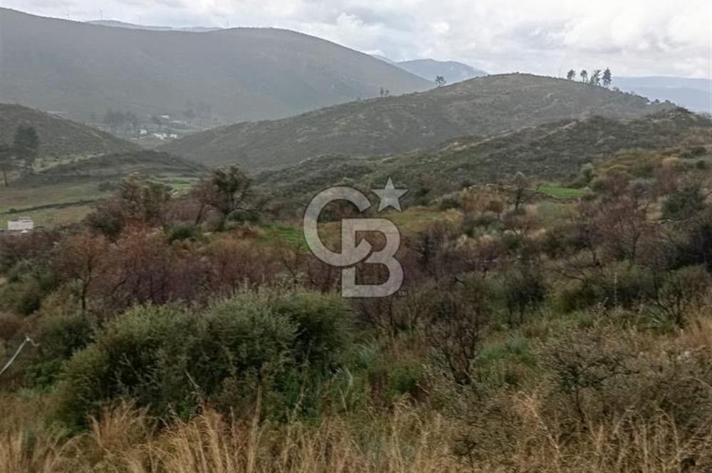 Bodrum Gökpınar’da Satılık Zeytinlik  1414 m²