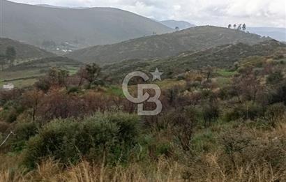 Bodrum Gökpınar’da Satılık Zeytinlik  1414 m²