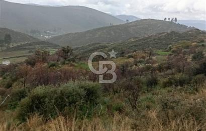 Bodrum Gökpınar’da Satılık Zeytinlik  1414 m²