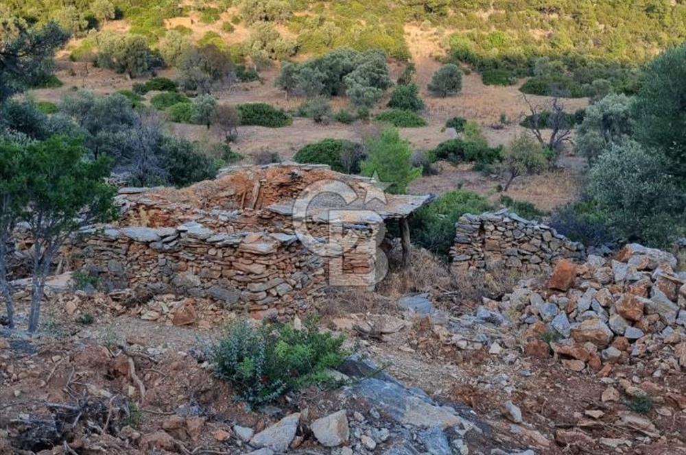 Bodrum Çiftlik'te  Satılık Tarla