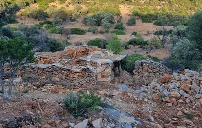 Bodrum Çiftlik'te  Satılık Tarla
