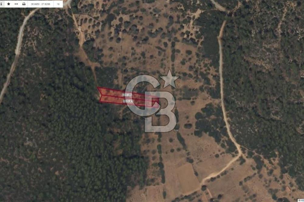 Bodrum Çiftlik'te  Satılık Tarla