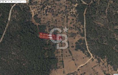 Bodrum Çiftlik'te  Satılık Tarla