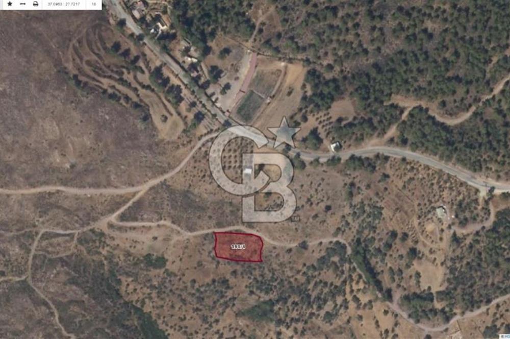 Bodrum Gökpınar’da Satılık Zeytinlik  1414 m²