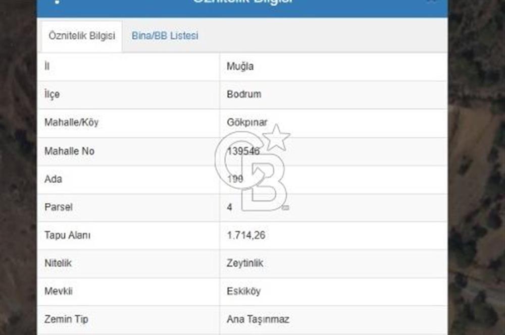 Bodrum Gökpınar’da Satılık Zeytinlik  1414 m²