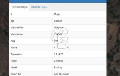 Bodrum Gökpınar’da Satılık Zeytinlik  1414 m²