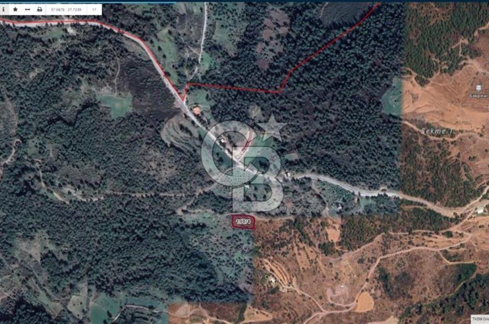 Bodrum Gökpınar’da Satılık Zeytinlik  1414 m²