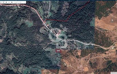 Bodrum Gökpınar’da Satılık Zeytinlik  1414 m²