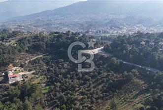 Kemalpaşa Yukarı Kızılcada Satılık Zeytinlik - 1 - 328608