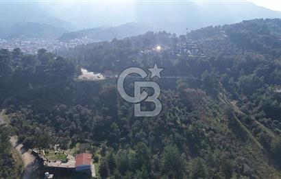 Kemalpaşa Yukarı Kızılcada Satılık Zeytinlik