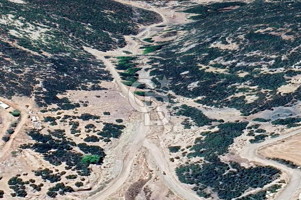 Antalya Döşemealtı Bademağacı Satılık Tarla