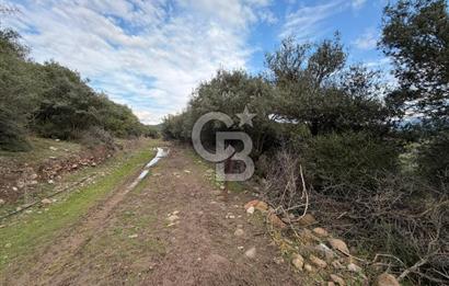 ÇANAKKALE AYVACIK DİBEKLİ KÖYÜNDE SATILIK 10.751 m² TARLA