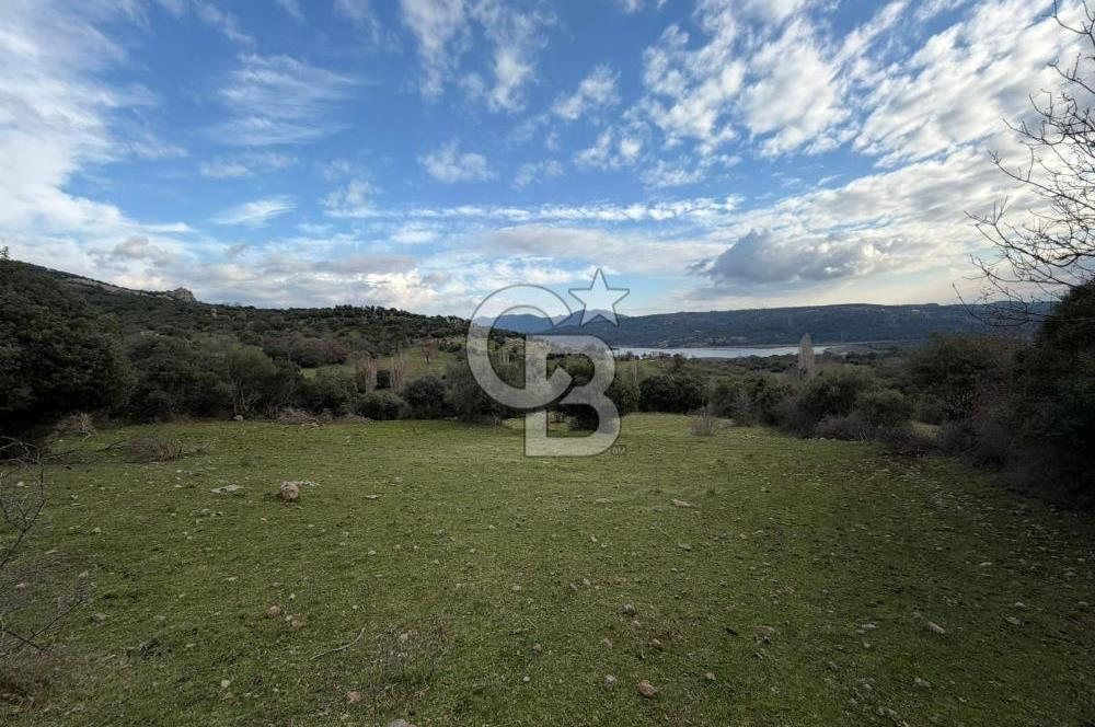 ÇANAKKALE AYVACIK DİBEKLİ KÖYÜNDE SATILIK 10.751 m² TARLA