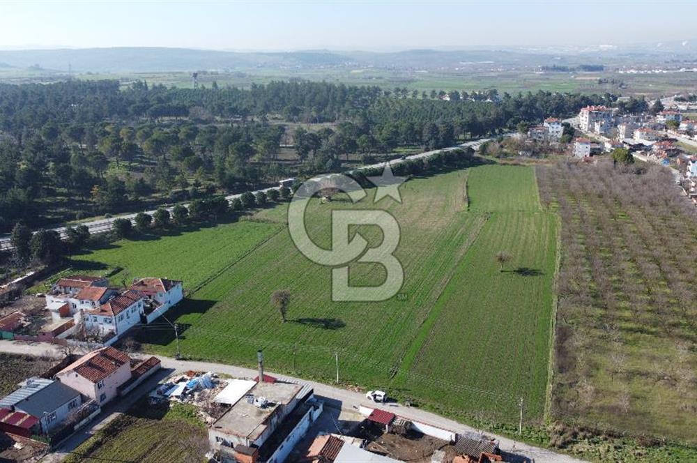 CB KİNG'DEN ATKÖY MAH. ANA YOLA CEPHE KONUMLU SATILIK TARLA