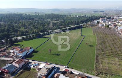 CB KİNG'DEN ATKÖY MAH. ANA YOLA CEPHE KONUMLU SATILIK TARLA