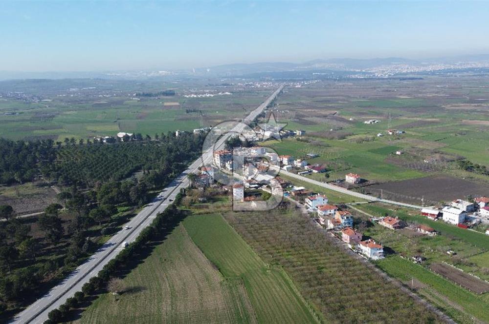 CB KİNG'DEN ATKÖY MAH. ANA YOLA CEPHE KONUMLU SATILIK TARLA