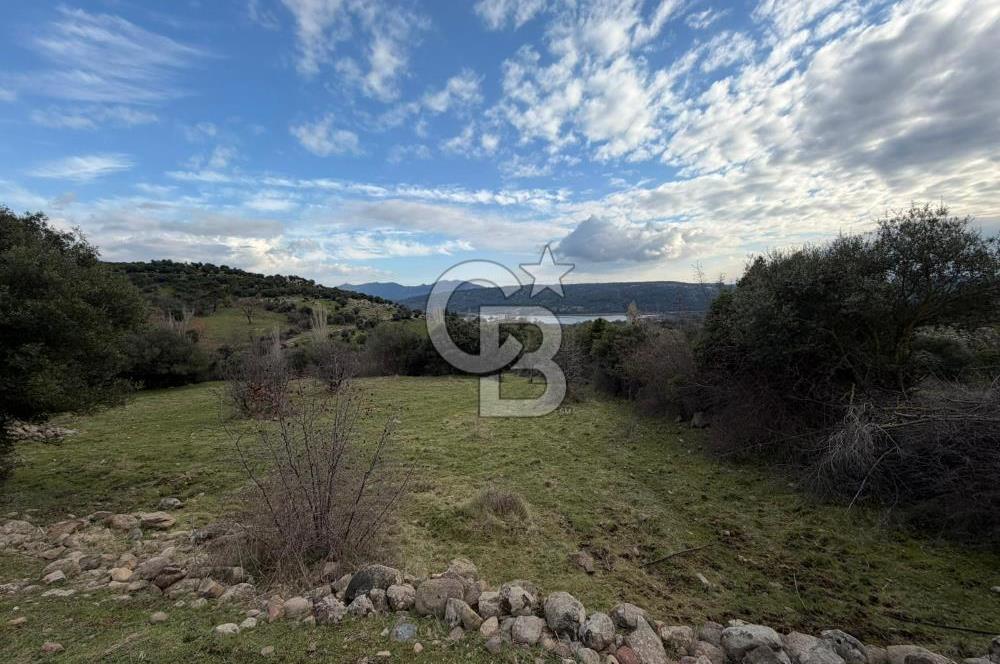 ÇANAKKALE AYVACIK DİBEKLİ KÖYÜNDE SATILIK 10.751 m² TARLA